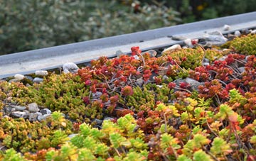 the cost of Crab Orchard green roof installation