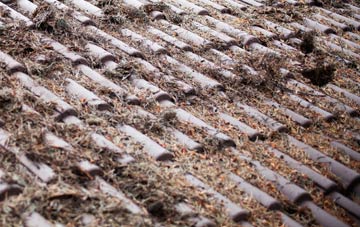 Crab Orchard roof cleaning companies